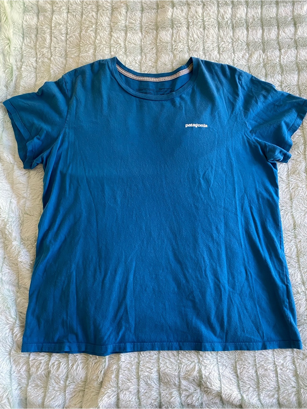 Men’s Patagonia Crewneck Tee Shirt — Organic Cotton, Blue, Large (runs small)